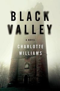 Cover image for Black Valley