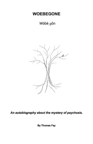 Cover image for WOEBEGONE