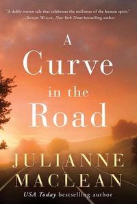 Cover image for A Curve in the Road