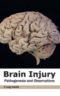 Cover image for Brain Injury: Pathogenesis and Observations