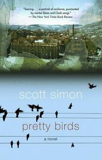 Cover image for Pretty Birds: A Novel