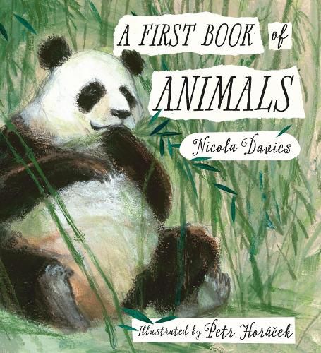 Cover image for A First Book of Animals