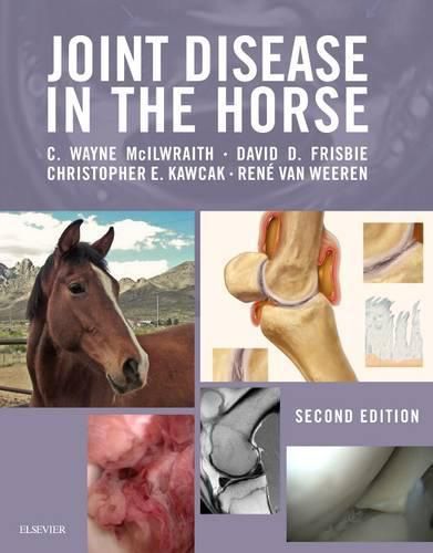 Cover image for Joint Disease in the Horse