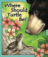 Cover image for Where Should Turtle Be?