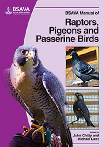 Cover image for BSAVA Manual of Raptors, Pigeons and Passerine Birds