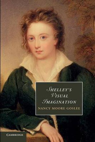 Cover image for Shelley's Visual Imagination