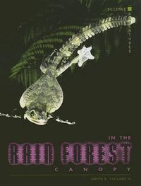 Cover image for In the Rain Forest Canopy