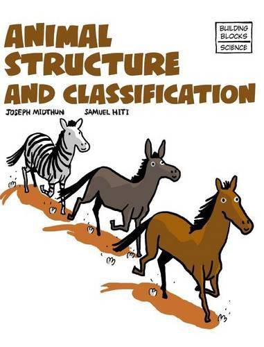 Animal Structure and Classification