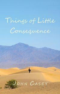 Cover image for Things of Little Consequence