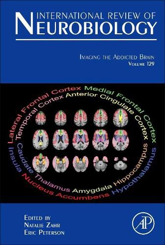 Cover image for Imaging the Addicted Brain