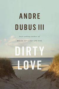 Cover image for Dirty Love