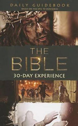 Cover image for The Bible 30-Day Experience: Daily Guidebook