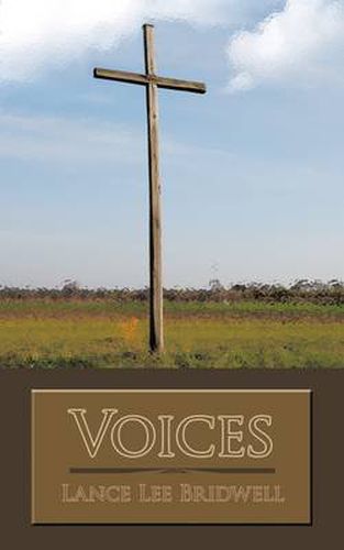 Cover image for Voices