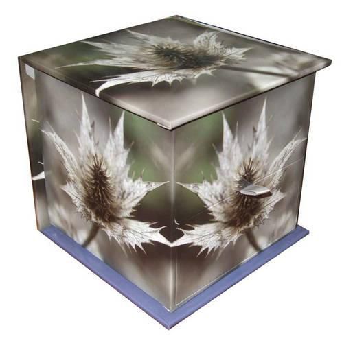 Cover image for Winter Flowers