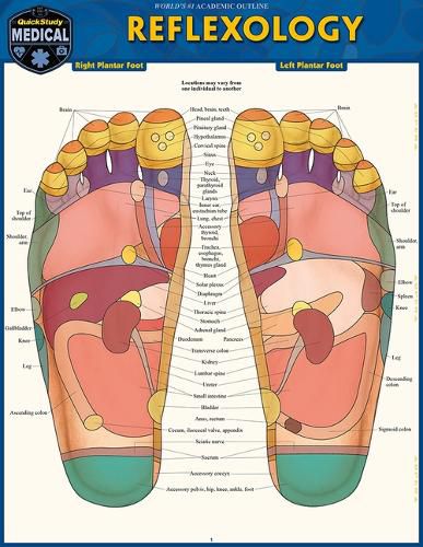Cover image for Reflexology