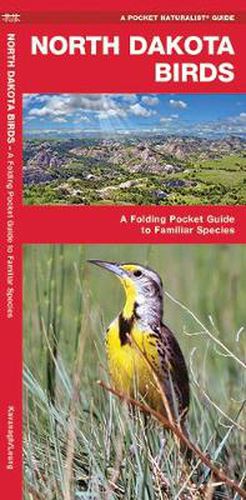 Cover image for North Dakota Birds: A Folding Pocket Guide to Familiar Species
