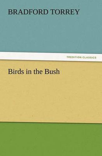 Cover image for Birds in the Bush