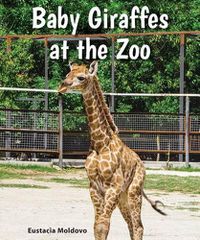 Cover image for Baby Giraffes at the Zoo