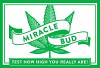 Cover image for Miracle Bud: Test How High You Really Are