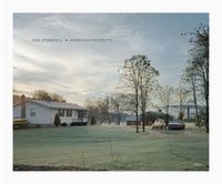 Cover image for Joel Sternfeld: American Prospects