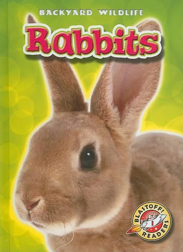 Cover image for Rabbits