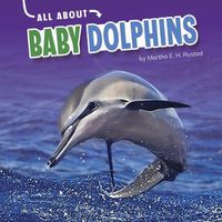 Cover image for Dolphins