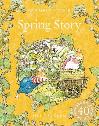 Cover image for Spring Story