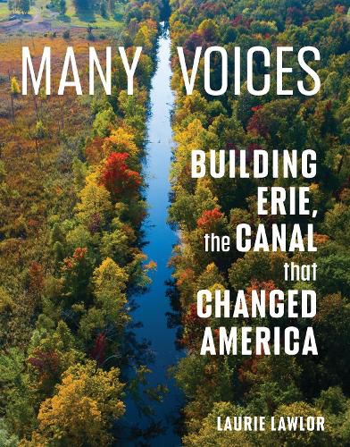 Cover image for Many Voices