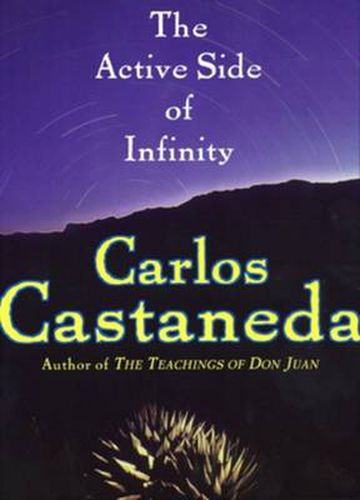 Cover image for The Active Side of Infinity