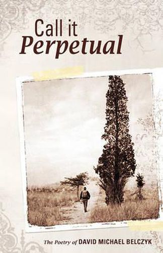 Cover image for Call It Perpetual