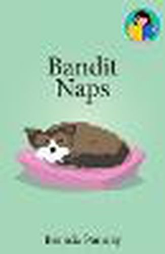 Cover image for Bandit Naps