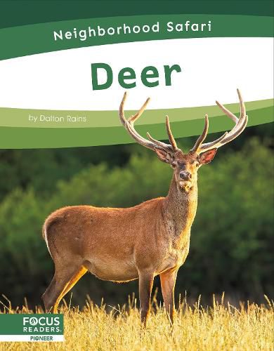 Cover image for Deer