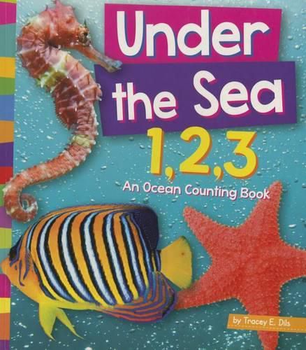 Cover image for Under the Sea 1,2,3: An Ocean Counting Book