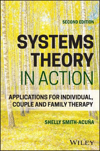 Cover image for Systems Theory in Action