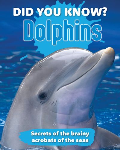Cover image for Did You Know? Dolphins