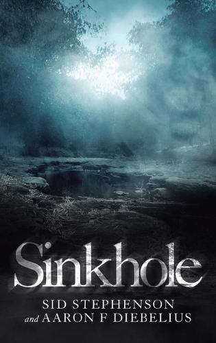 Cover image for Sinkhole