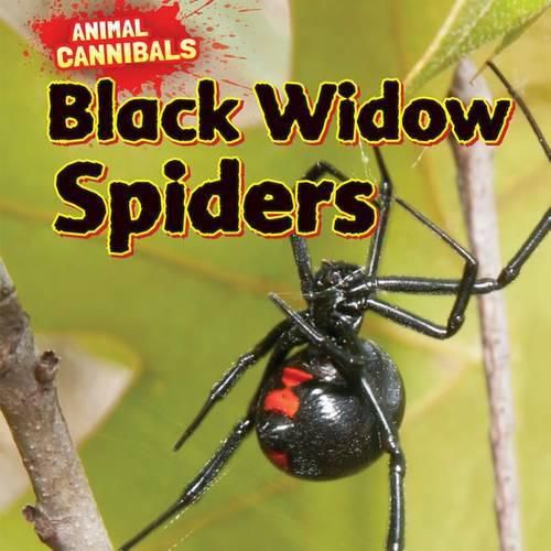 Black Widow Spiders