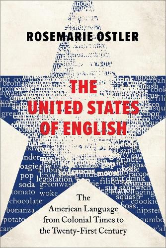 Cover image for The United States of English