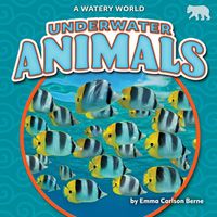 Cover image for Underwater Animals