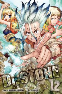 Cover image for Dr. STONE, Vol. 12
