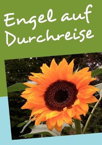 Cover image for Engel auf Durchreise