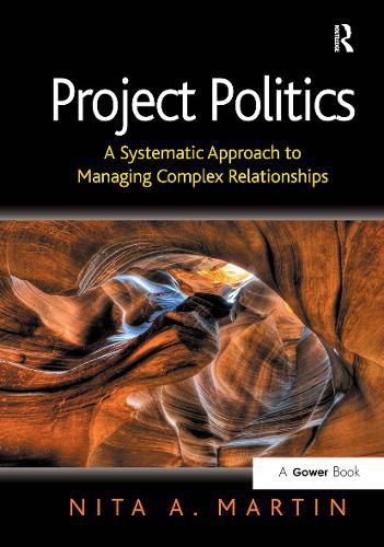 Cover image for Project Politics
