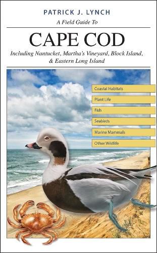 Cover image for A Field Guide to Cape Cod: Including Nantucket, Martha's Vineyard, Block Island, and Eastern Long Island