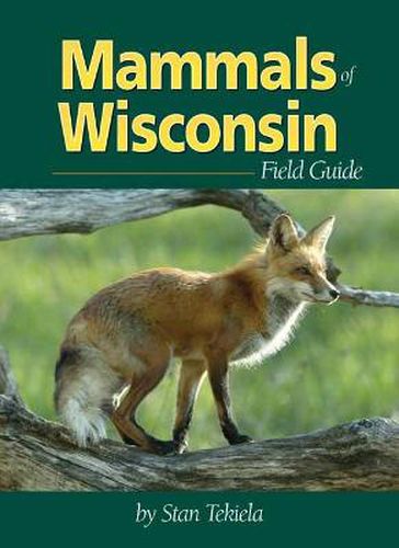 Cover image for Mammals of Wisconsin Field Guide