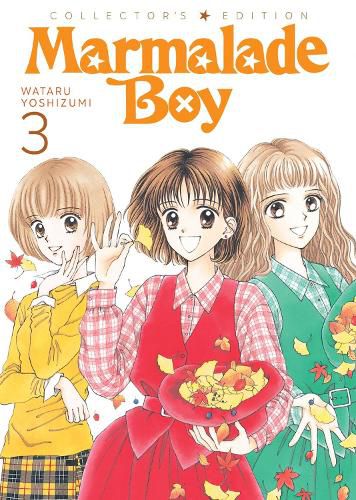 Cover image for Marmalade Boy: Collector's Edition 3