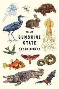 Cover image for Sunshine State: Essays