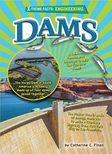 Cover image for Dams