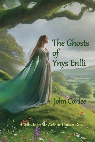 Cover image for The Ghosts of Ynys Enlli