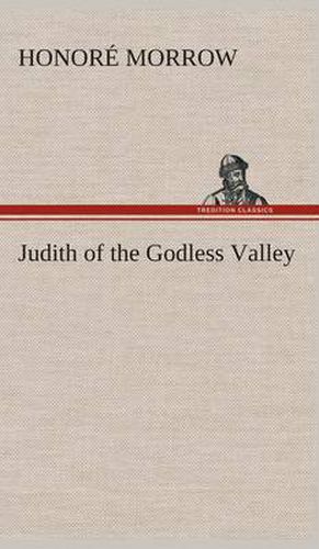 Cover image for Judith of the Godless Valley