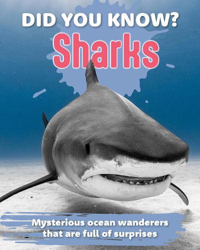 Cover image for Did You Know? Sharks
